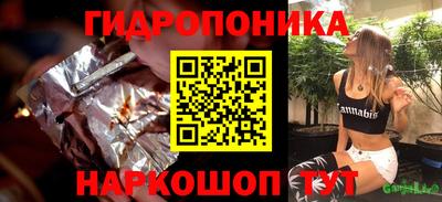 2c-b Камышлов
