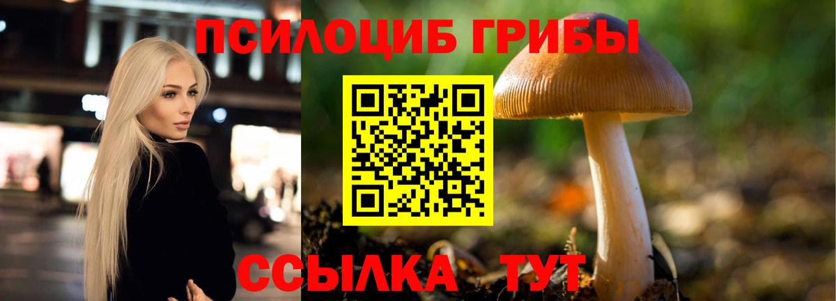 Псилоцибиновые грибы прущие грибы Красноармейск
